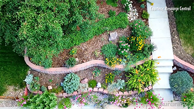 Aurora TV | The Aurora TV Channel